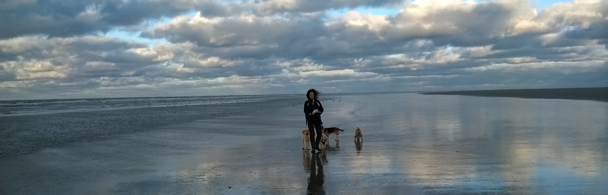 Online Energie healing & Coaching Ameland